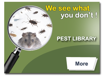 pest library
