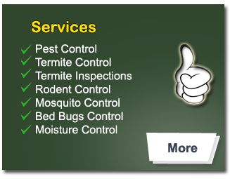 pest control services
